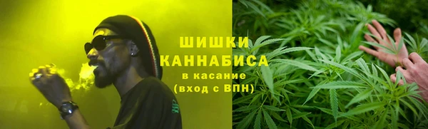 дмт Аша
