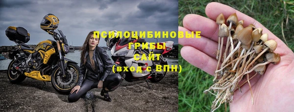 гидропоника Бабаево