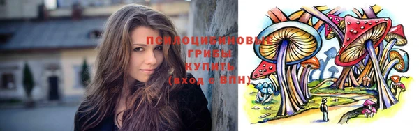 гидропоника Бабаево